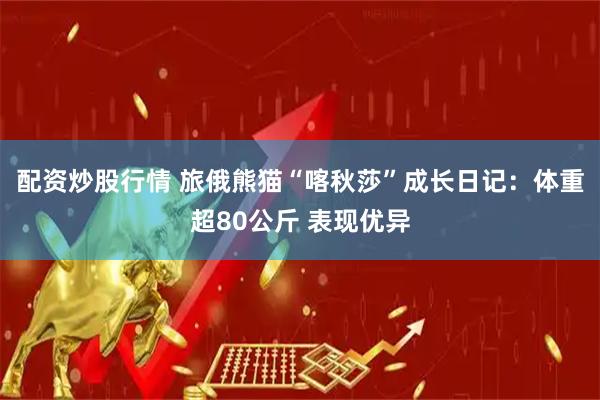配资炒股行情 旅俄熊猫“喀秋莎”成长日记：体重超80公斤 表现优异