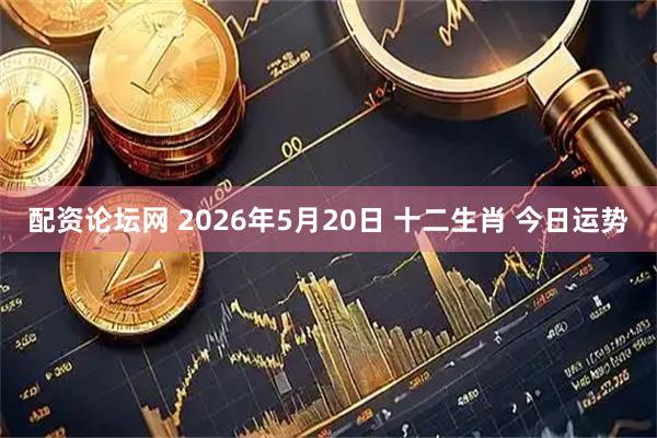 配资论坛网 2026年5月20日 十二生肖 今日运势